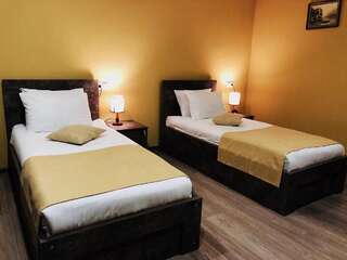 Отель Hotel Nabadi Тбилиси Стандартный двухместный номер с 2 отдельными кроватями-2